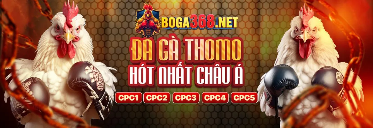 Sòng bạc Trực tuyến BetVN với người chia bài thật