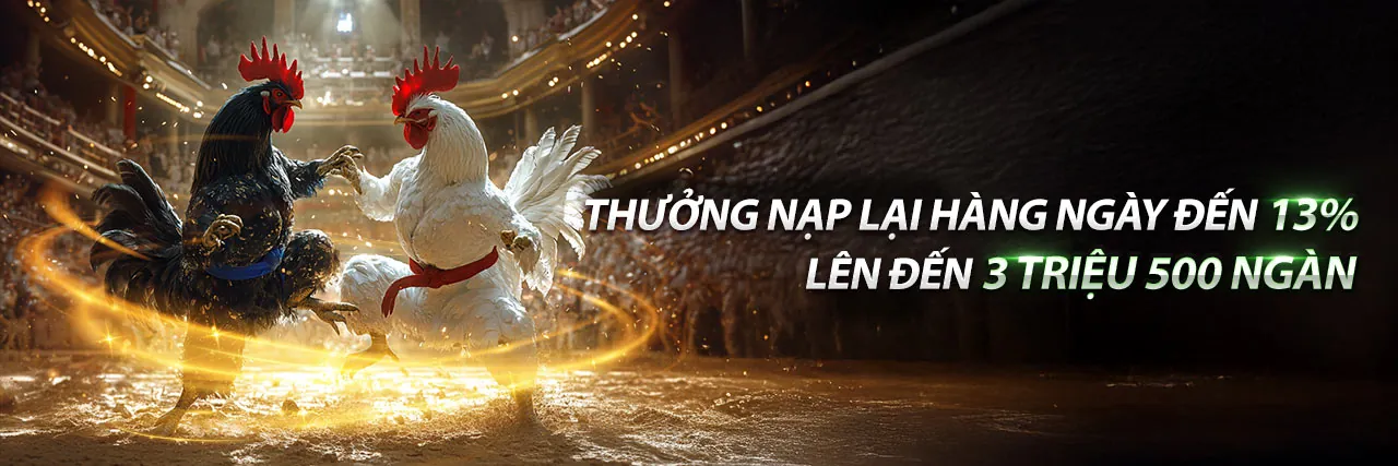 Giới thiệu BetVN Trang Chủ