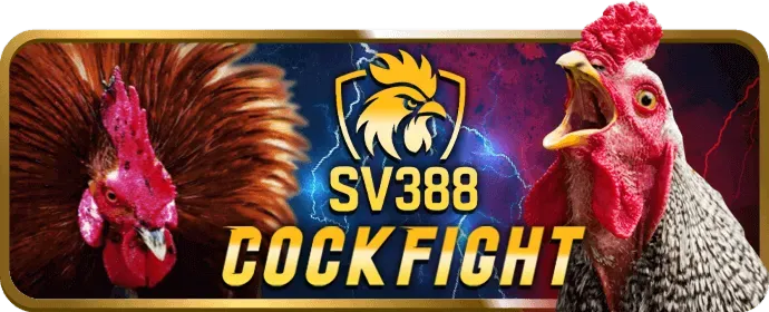Hỗ trợ khách hàng BetVN 24/7